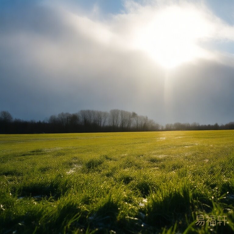 冬日的阳光透过云层照在一片积雪的田野上,雪的边缘开始融化